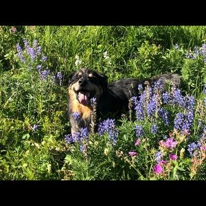 Meet your Posher, Emma